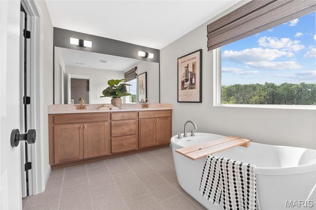 0 New Build ARLINGTON at Lienemann, St Peters, MO 63303