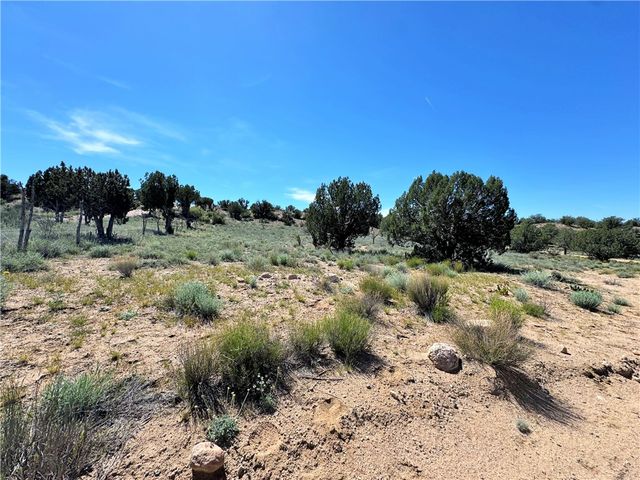 14224 E Randy Ranch, Kingman, AZ 86401