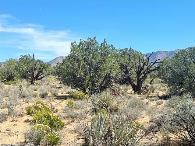 14224 E Randy Ranch, Kingman, AZ 86401