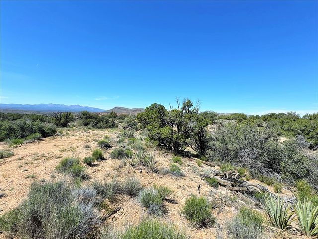 14224 E Randy Ranch, Kingman, AZ 86401