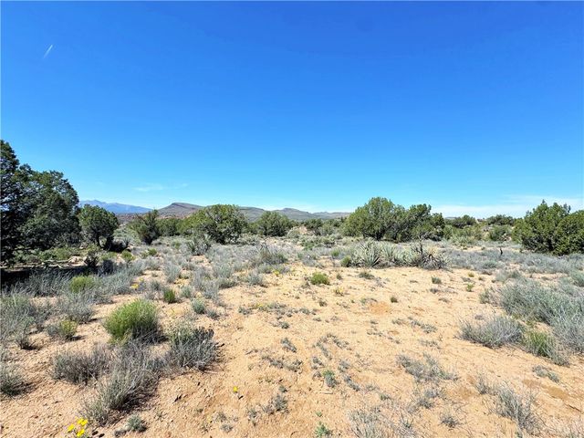 14224 E Randy Ranch, Kingman, AZ 86401