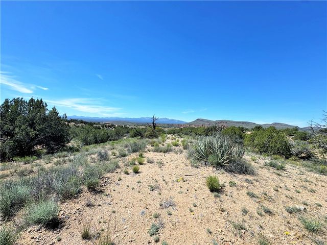 14224 E Randy Ranch, Kingman, AZ 86401