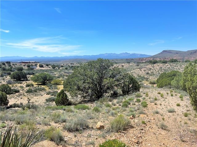 14224 E Randy Ranch, Kingman, AZ 86401