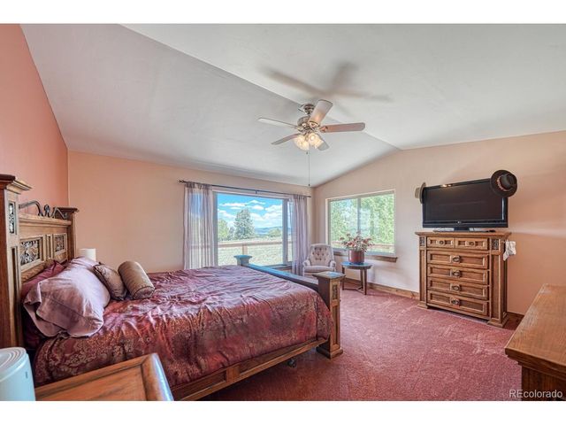 441 Kaufman Rd, Hartsel, CO 80449