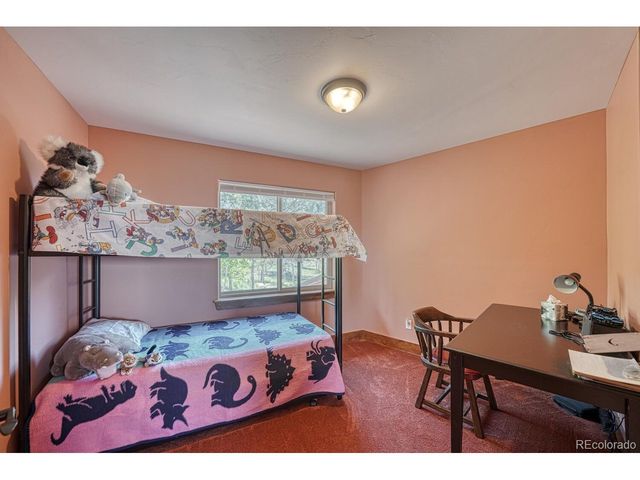 441 Kaufman Rd, Hartsel, CO 80449