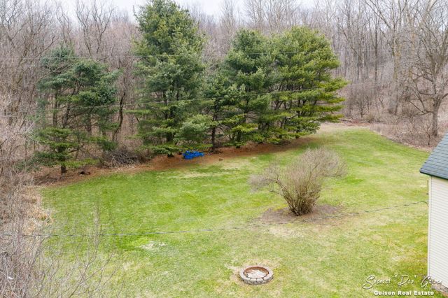 5856 Kiddville Road, Orleans Twp, MI 48809