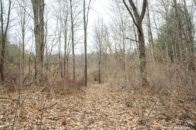 5856 Kiddville Road, Orleans Twp, MI 48809