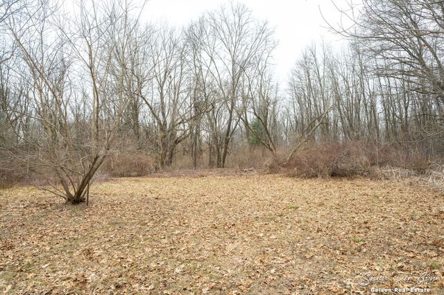 5856 Kiddville Road, Orleans Twp, MI 48809