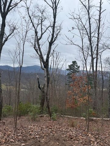 00 Ethan Ridge, Hayesville, NC 28909