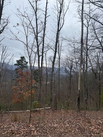 00 Ethan Ridge, Hayesville, NC 28909