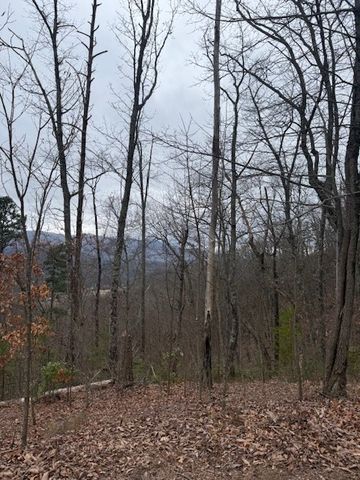 00 Ethan Ridge, Hayesville, NC 28909