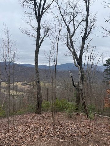 00 Ethan Ridge, Hayesville, NC 28909
