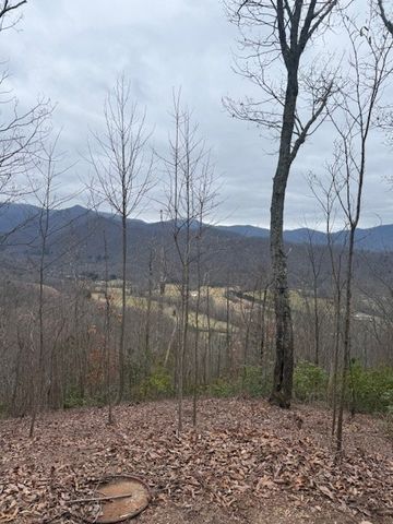 00 Ethan Ridge, Hayesville, NC 28909