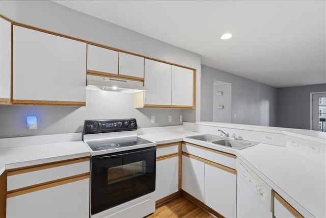 1307 Millbrook, Ann Arbor, MI 48108