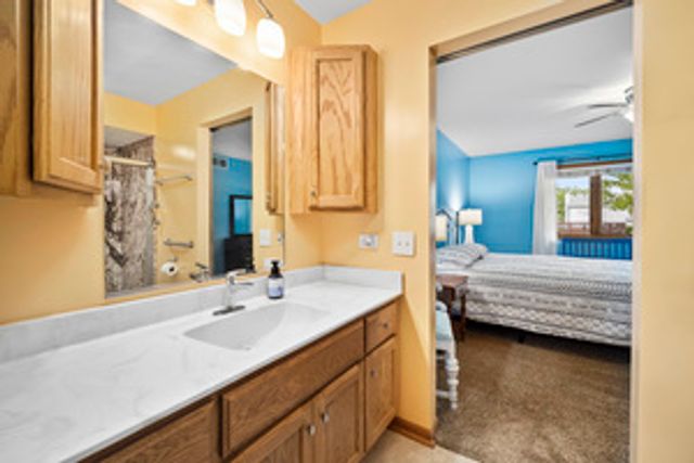 213 Fox Run Drive, Elwood, IL 60421