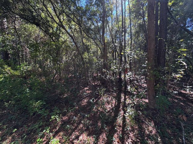 000 Half Street, Summerville, SC 29483