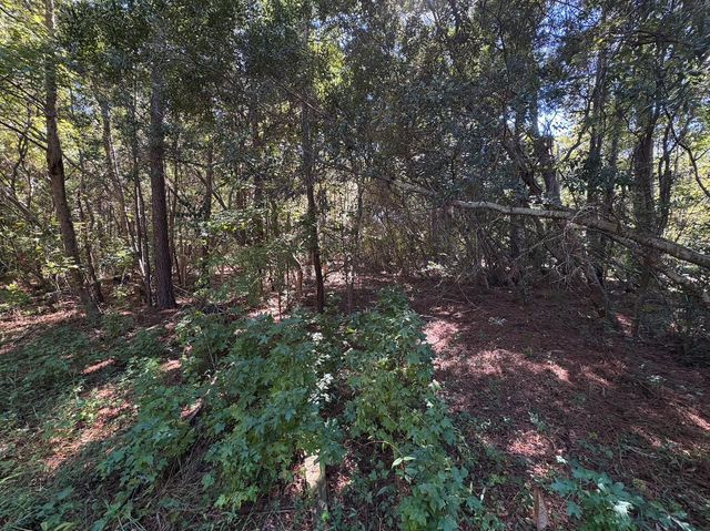 000 Half Street, Summerville, SC 29483