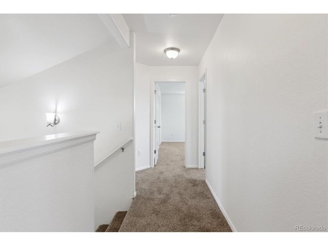 719 Elk Mountain Dr, Severance, CO 80550