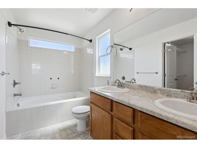 719 Elk Mountain Dr, Severance, CO 80550