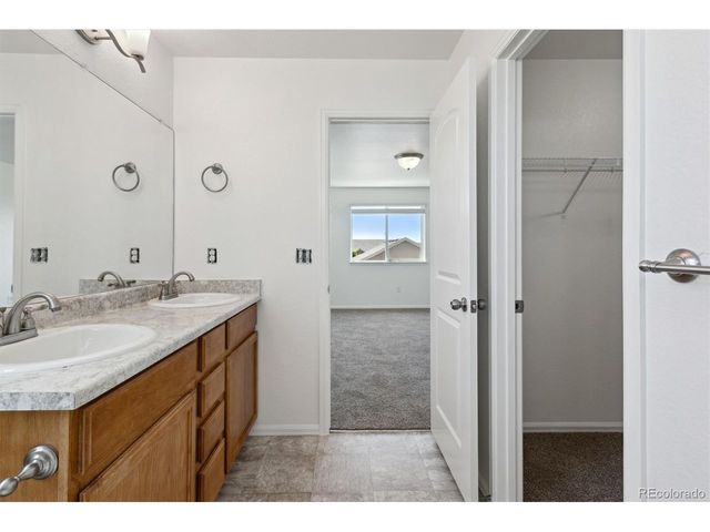 719 Elk Mountain Dr, Severance, CO 80550