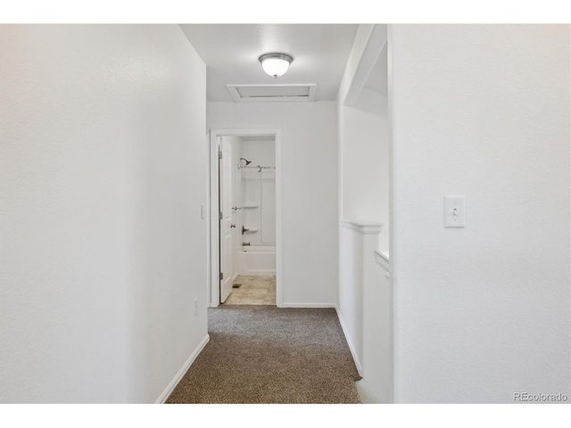 719 Elk Mountain Dr, Severance, CO 80550