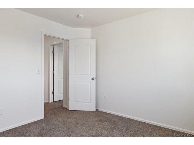 719 Elk Mountain Dr, Severance, CO 80550