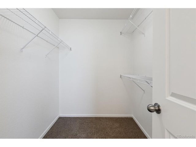 719 Elk Mountain Dr, Severance, CO 80550