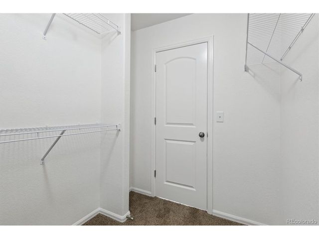 719 Elk Mountain Dr, Severance, CO 80550