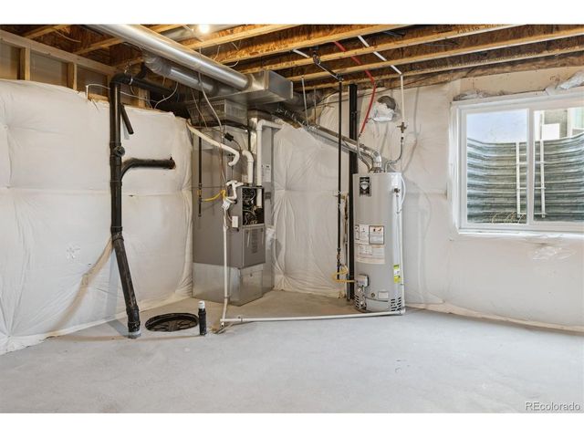 719 Elk Mountain Dr, Severance, CO 80550