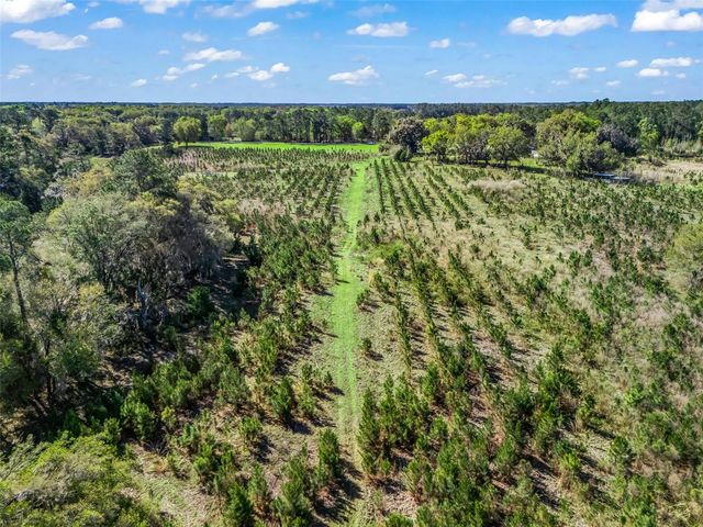 6350 NE 86TH AVENUE, Bronson, FL 32621