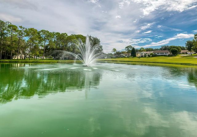 6460 PINE MEADOWS DRIVE, Spring Hill, FL 34606