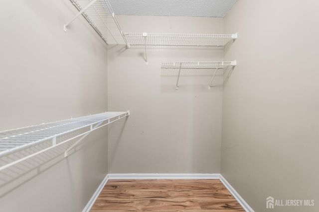 834 Edpas Road, New Brunswick, NJ 08901