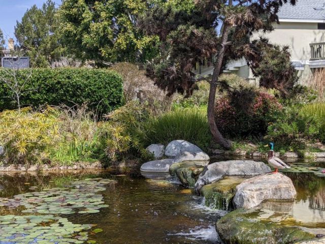 12245 Carmel Vista Rd 292, San Diego, CA 92130