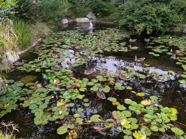 12245 Carmel Vista Rd 292, San Diego, CA 92130