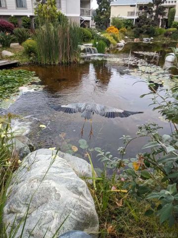 12245 Carmel Vista Rd 292, San Diego, CA 92130