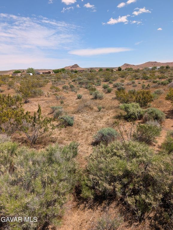 49th W And Constellation Ave Street, Rosamond, CA 93560