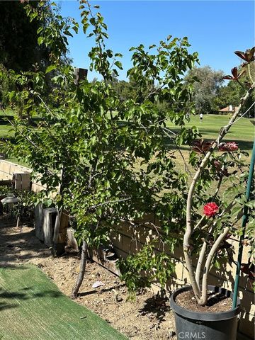 1468 Willow Leaf, Hemet, CA 92545