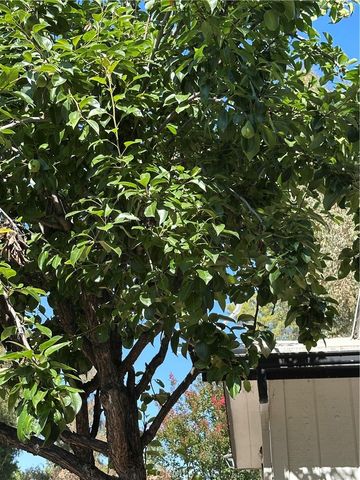 1468 Willow Leaf, Hemet, CA 92545