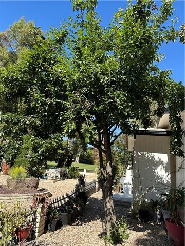 1468 Willow Leaf, Hemet, CA 92545