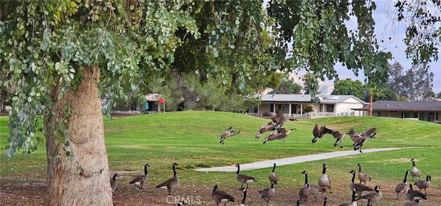 1468 Willow Leaf, Hemet, CA 92545