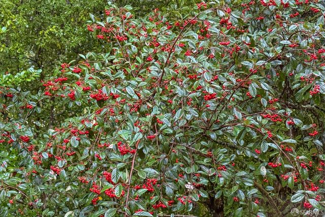 497 Dellbrook Avenue, San Francisco, CA 94131