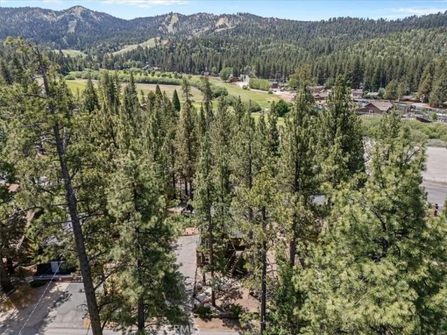 42929 Encino, Big Bear Lake, CA 92315