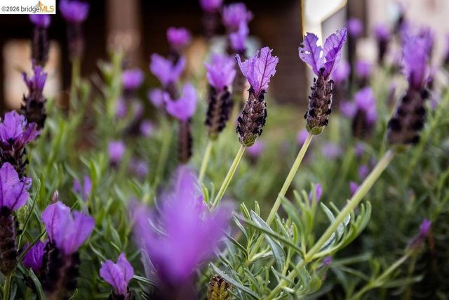 219 John ST, Oakland, CA 94611