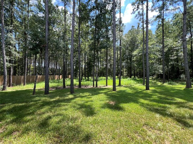 13556 Caldwell Street, Conroe, TX 77303