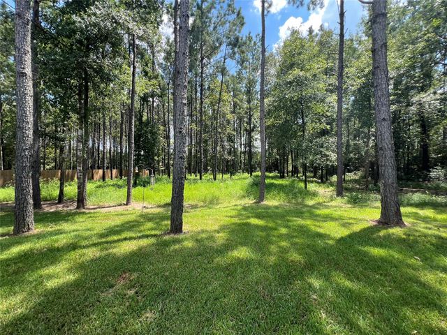13556 Caldwell Street, Conroe, TX 77303