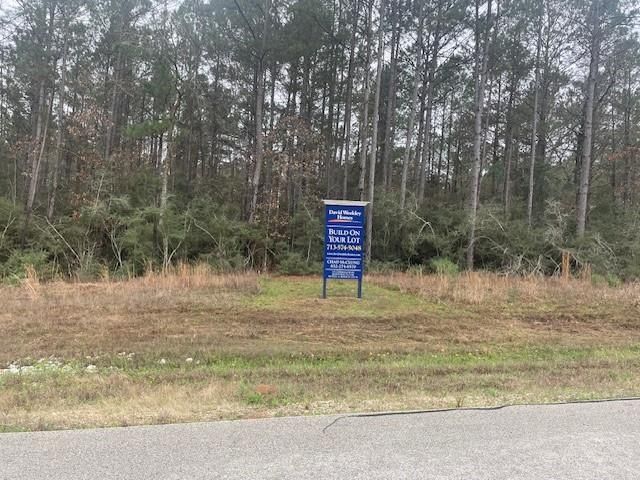 155 Copperleaf Road, Huntsville, TX 77340