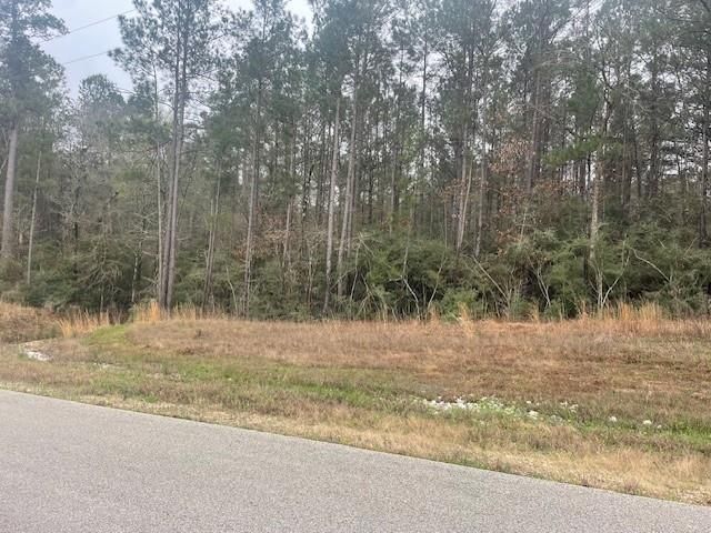 155 Copperleaf Road, Huntsville, TX 77340