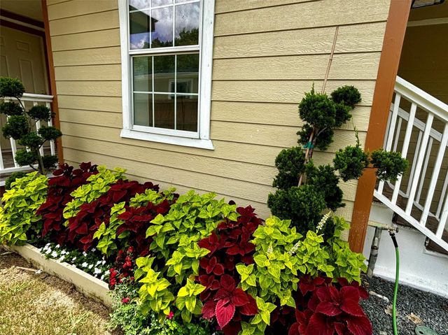 401 N 11th Street, West Columbia, TX 77486