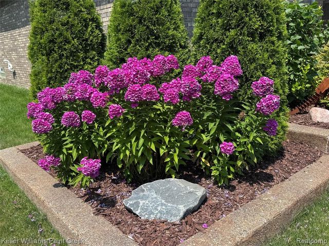 54669 Shady Creek Drive, New Baltimore, MI 48047