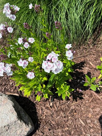 54669 Shady Creek Drive, New Baltimore, MI 48047